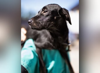 Zuckermaus Sophie ❤️ freundlich + so lieb!