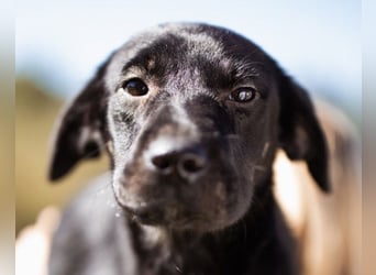 Zuckermaus Sophie ❤️ freundlich + so lieb!