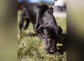 Zuckermaus Sophie ❤️ freundlich + so lieb!