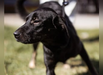 Zuckermaus Sophie ❤️ freundlich + so lieb!