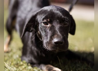 Zuckermaus Sophie ❤️ freundlich + so lieb!