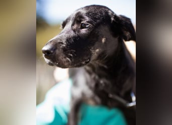 Zuckermaus Sophie ❤️ freundlich + so lieb!