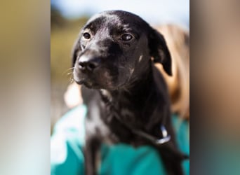 Zuckermaus Sophie ❤️ freundlich + so lieb!