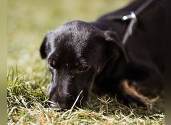 Zuckermaus Sophie ❤️ freundlich + so lieb!