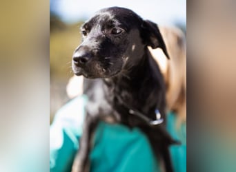 Zuckermaus Sophie ❤️ freundlich + so lieb!