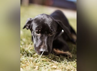 Zuckermaus Sophie ❤️ freundlich + so lieb!