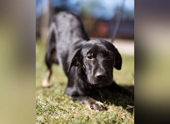 Zuckermaus Sophie ❤️ freundlich + so lieb!