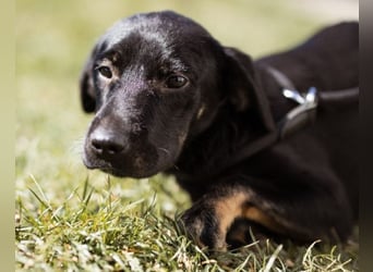 Zuckermaus Sophie ❤️ freundlich + so lieb!