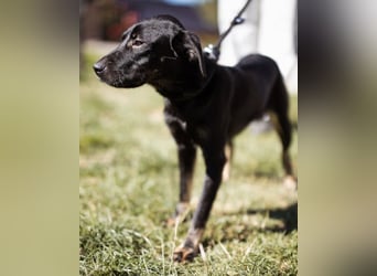 Zuckermaus Sophie ❤️ freundlich + so lieb!