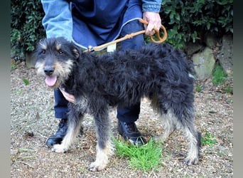 Brandyon - Kleiner Kerl mit großer Persönlichkeit part one