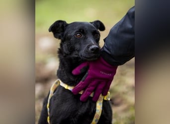 Adri VA - weiß was sie will