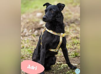 Adri VA - weiß was sie will