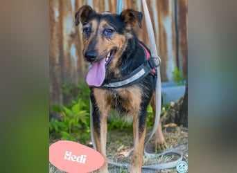 Hedi SI - liebt Menschen über alles