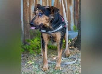 Hedi SI - liebt Menschen über alles