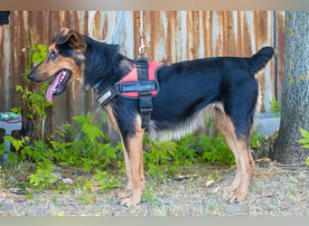 Hedi SI - liebt Menschen über alles