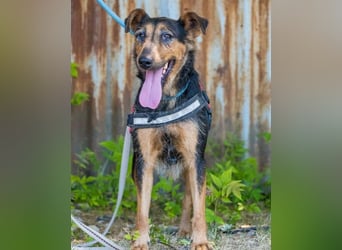 Hedi SI - liebt Menschen über alles