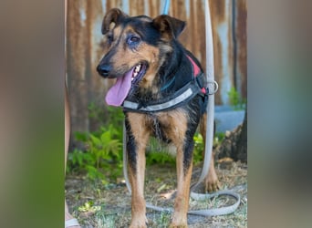 Hedi SI, liebt Menschen über alles