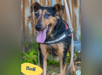 Hedi SI, liebt Menschen über alles