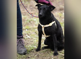 Adri VA - weiß was sie will