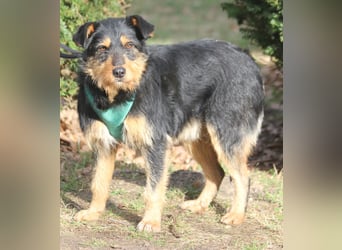 Joschi 43cm geb. 06/2024wartet in 38539 Müden/Aller