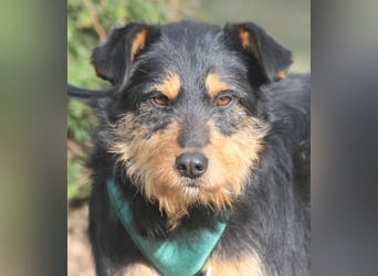 Joschi 43cm geb. 06/2024wartet in 38539 Müden/Aller