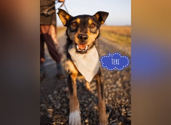 Teri wartet viel zu lange