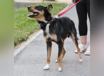 Teri wartet viel zu lange