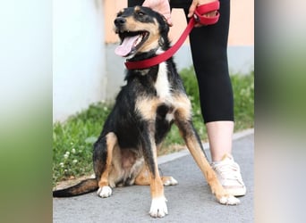 Teri wartet viel zu lange