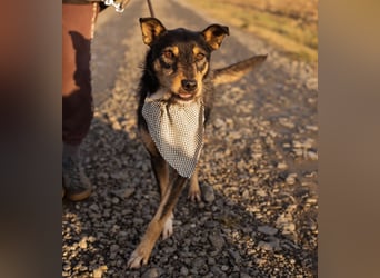 Teri wartet viel zu lange