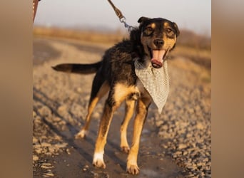 Teri wartet viel zu lange