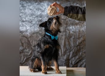 Andelko ein verschmuster Herzensbrecher