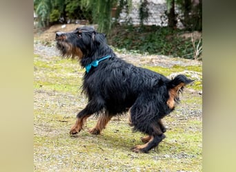 Andelko ein verschmuster Herzensbrecher