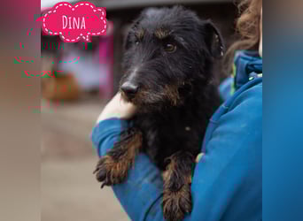 Dina eine richtige Kuschelmaus