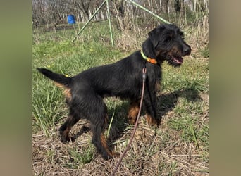 Dora ein kleiner Wirbelwind