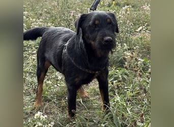 Ricky ein unglücklicher Engelchen