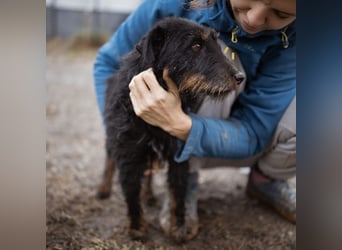 Dina eine richtige Kuschelmaus