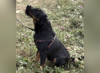 Ricky ein unglücklicher Engelchen