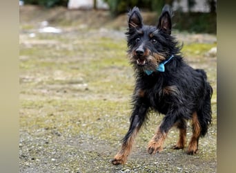 Andelko ein verschmuster Herzensbrecher