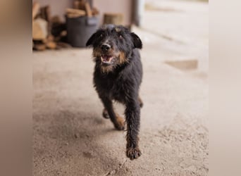 Dina eine richtige Kuschelmaus