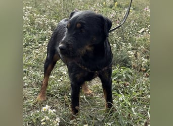 Ricky ein unglücklicher Engelchen