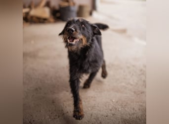 Dina eine richtige Kuschelmaus