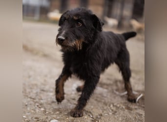 Dina eine richtige Kuschelmaus