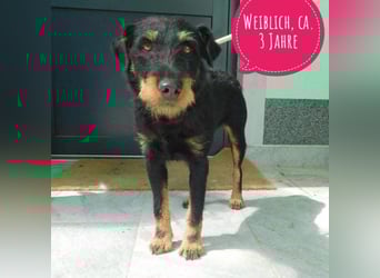 No name - wundervolles Mädchen