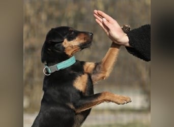 Riki - ein trauriges Schicksal