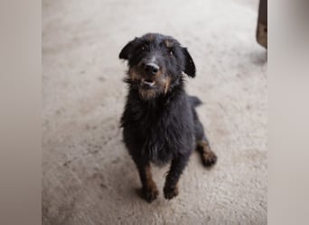 Dina eine richtige Kuschelmaus