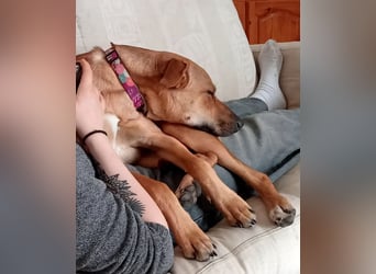 DELLA träumt vom eigenen Körbchen