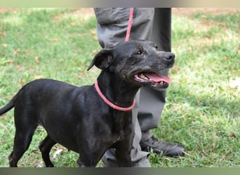 Melisande - Geheimcode "Wiesenelfe"