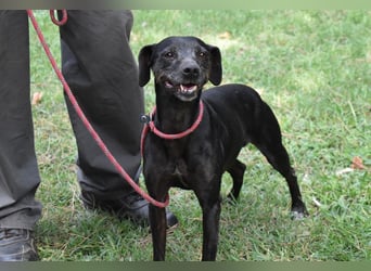 Melisande - Geheimcode "Wiesenelfe"