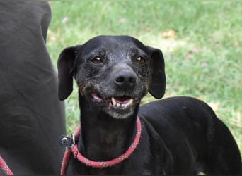 Melisande - Geheimcode "Wiesenelfe"