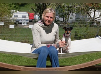 Amy Floh - flippig, verspielt und verschmust - Tierhilfe Franken e.V.
